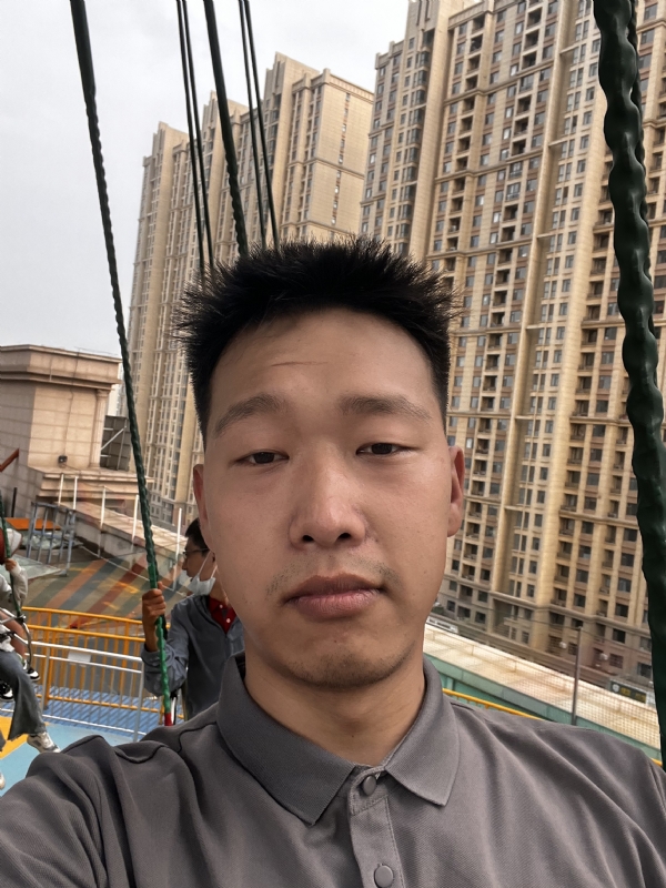 灰二的第一张照片--石家庄王婆说媒